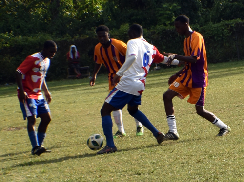 D1 ACTION